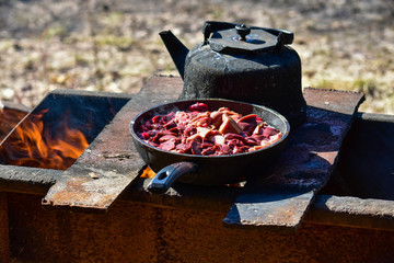 Cooking meat in nature. In the barbecue. Cooking on the go