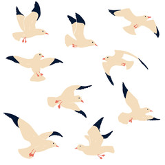 Seagulls illustration.  Cute hand drawn cartoon seagull set isolated on white background