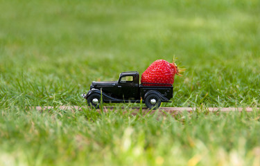 Vintage toy truck with strawberries. Strawberries with retro pick-up in natural green background. Summer vacations. Space for text. Transport logistic concept. Transportations. Vitamins and health.