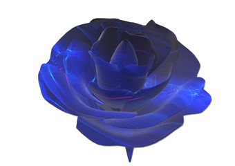 Blaue Rose, 3D Illustration