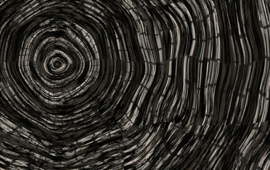 Fototapeta premium wood tree stump