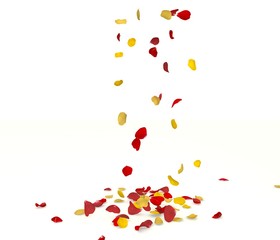 Yellow and red rose petals fall to the floor