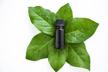 a small bottle of dark glass with green fresh leaves on the sides on a white background