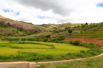 Landscape pictures of the country of Madagascar, with mountains and meadows