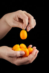 Kumquat , small oval citrus fruits, nagami variety