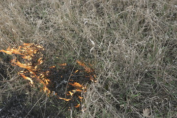  grass fire 
