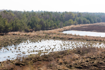 Moorlandschaft in Uchte, Norddeutschland