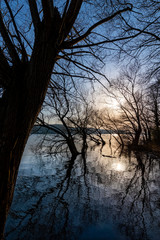 Fototapeta premium Möhnesee Talsperre Staudamm Ufer Bäume Silhouetten Spiegelung Sonnenlicht Grafik Verlauf Wasser Oberfläche Reflex Erholung Ruhe Entspannung Schöpfung Sauerland Deutschland Arnsberger Wald Soest