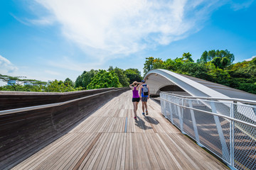 Henderson Waves bridge in natural forest, the highest public pedestrian bridge in Singapore, connecting Mount Faber Park to Telok Blangah Hill Park, Singapore