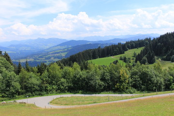Beautiful green Alp mountains and hills from Pfaender Mountain in Bregenz, Vorarlberg, Austria.