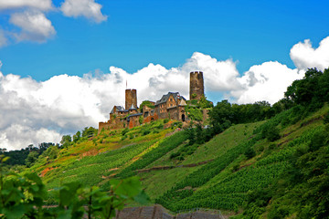 Burg Thurant