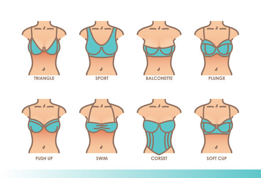 Types of bras. Kinds of bras. Women's underwear illustration set