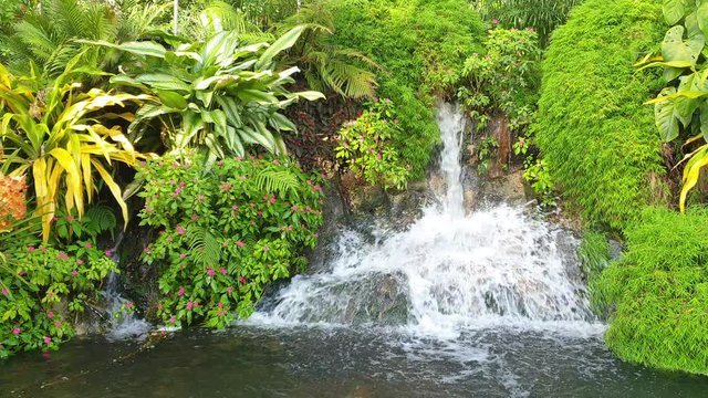 Beautiful small waterfall in tropical forest