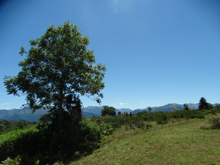 Obraz premium paysage de montagne