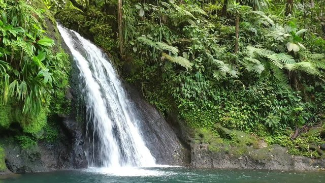waterfall in deep forest, caribbean jungle of Guadeloupe