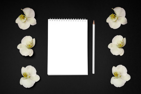 White orchid Phalaenopsis, white notepad and white pencil on black background 