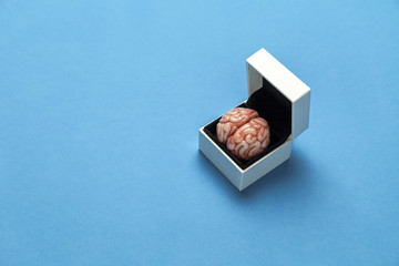 Smart human brain in box is isolated on blue background as gift to dumb person. Mental development, self-improvement or problems.