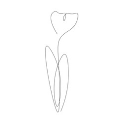 Flower on white background. Vector illustration