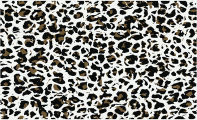Leopard pattern design, vector illustration background