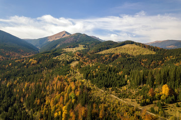 Fototapeta premium Aerial view of autumn mountain landscape with evergreen pine trees and yellow fall forest with magestic mountains in distance.