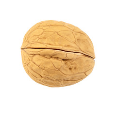 Delicious whole walnuts, isolated on white background