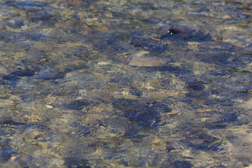 abstract water background