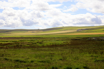 Fototapeta premium Yesnaby - Orkney (Scotland), UK - August 07, 2018: The landscape near Yesnaby cliffs area, Stromnessr, Orkney, Scotland, Highlands, United Kingdom