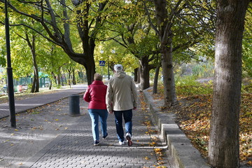 senior couple walking in the park