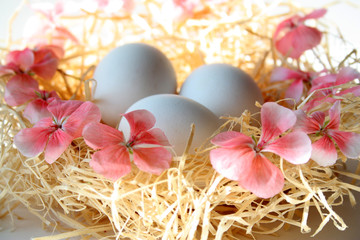 Easter decoration. Chicken eggs in the nest, flower decorations