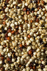 Raw Tricolor Organic Quinoa Kernals