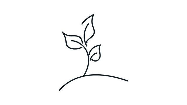 wind rain plant line art doodle draw process whiteboard symbol sign concept 