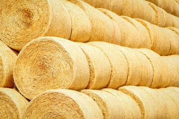 a bales on the field are folded for second use on the field to the animal background