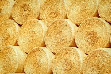 a bales on the field are folded for second use on the field to the animal background