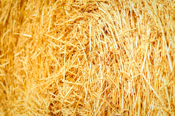 a bales on the field background straw is ready for animals and on the field