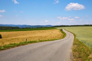 Fototapeta na wymiar Narrow road through agricultural fields