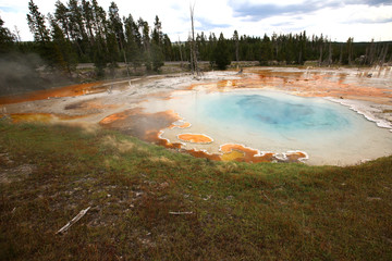 Pools at the Lower Geyser Basin, Yellowstone National Park © Stefano