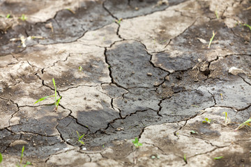 Cracked dry dirt flat surface, abstract texture, copy space background, retro pattern.