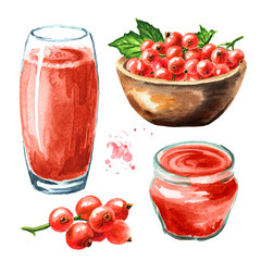 Red currant set with berries, jam and juice. Hand drawn watercolor illustration isolated on white background