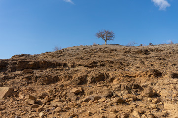 Landscape of Serengeti national park Tanzania