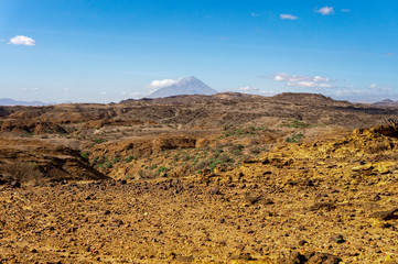 Landscape of national park Serengeti Tanzania