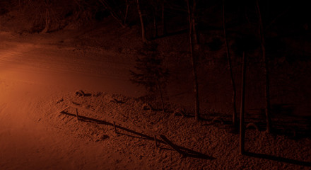 sunset in the desert