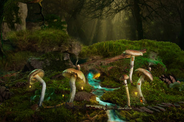 Fantastic world of magic mushrooms.
