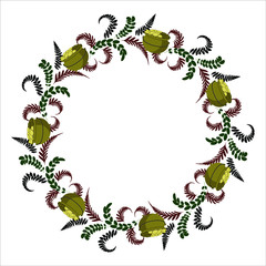 Frame with floral ornaments from fern leaves and clover for St. Patrick's Day