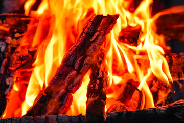a Fire with coals and fire on nature picnic background. Burns out a bonfire for food on the street