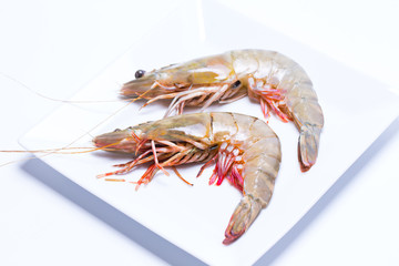 Fresh Tiger shrimp on dish isolated on white background