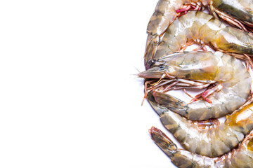 Fresh Tiger shrimp isolated on white background