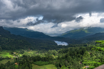 Fototapeta premium Nature Scene in Sri Lanka