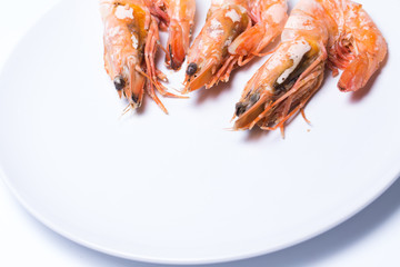 Steamed Prawns Shrimps big on plate on white background