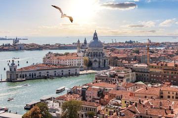 Venice panorama, Santa Maria della Salute from the Campanile, Italy