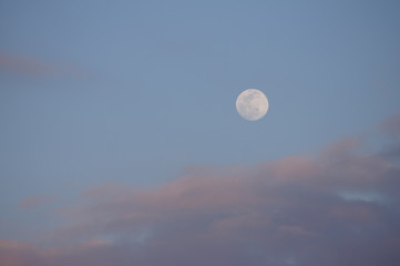Vollmund zur Abenddämmerung